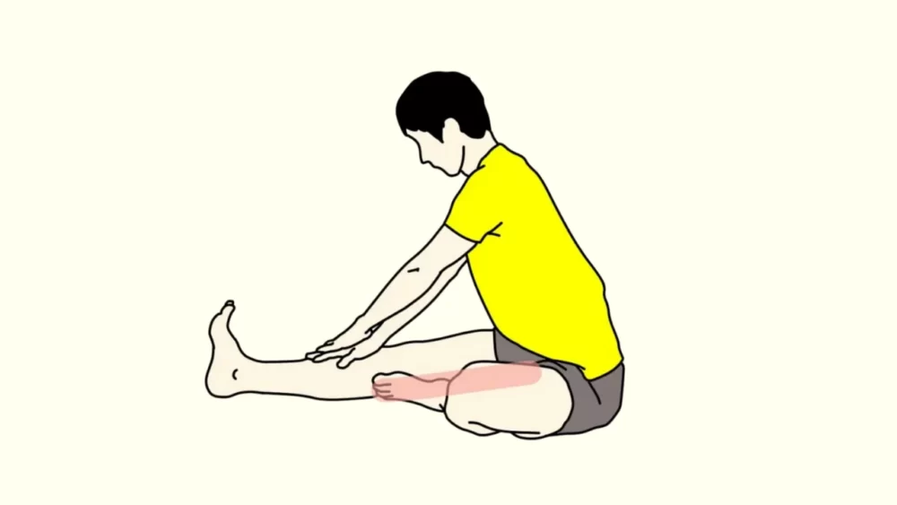 Hamstring-Stretching-of-the-image