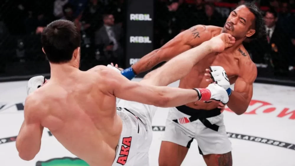 Image-of-a-man-kicking-a-Brazilian-kick-in-a-martial-arts-match
