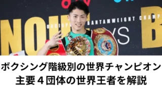 【ボクシング階級別の世界チャンピオン一覧】主要４団体の世界王者を解説